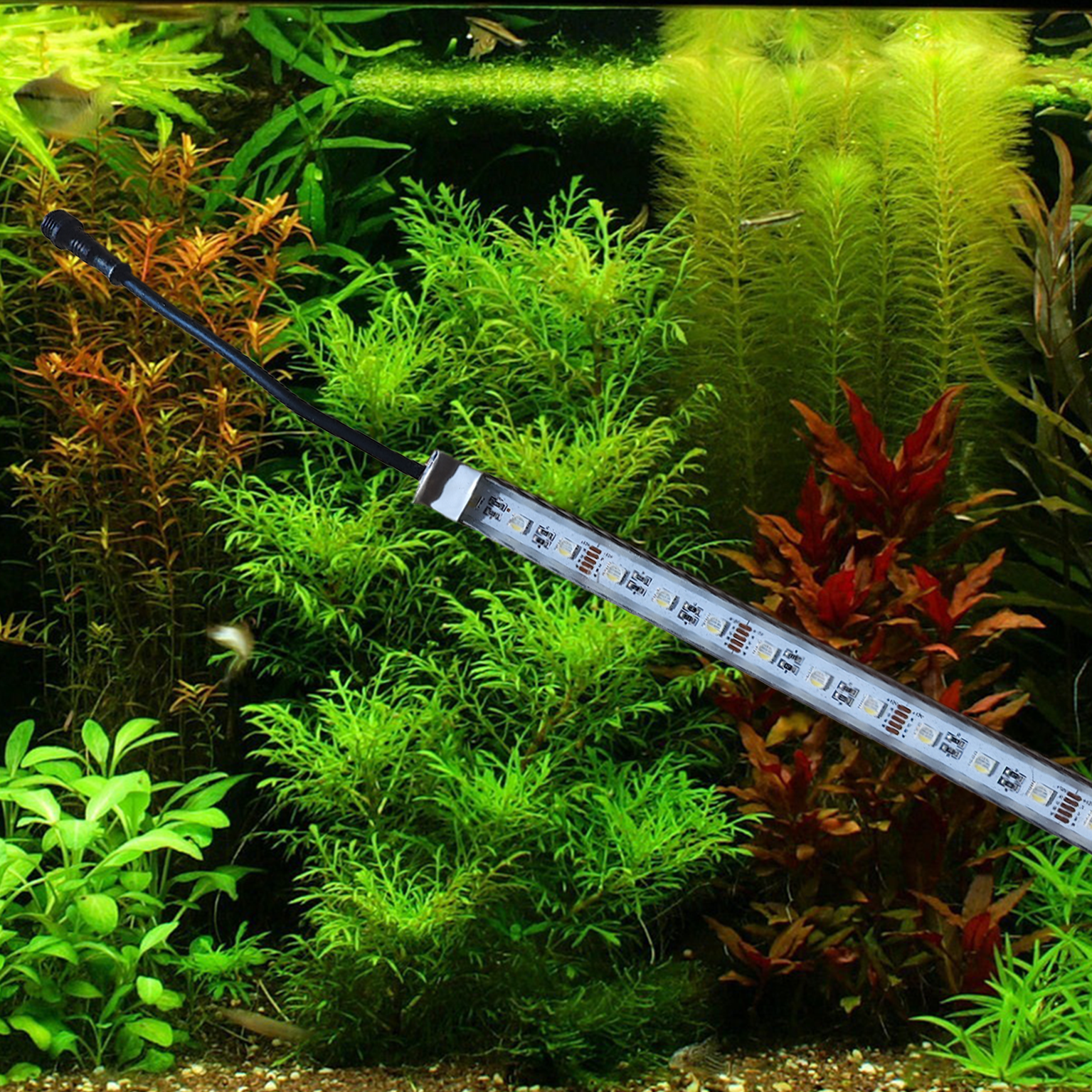 Aquarium led verlichting RGBW enkele led strip waterdicht