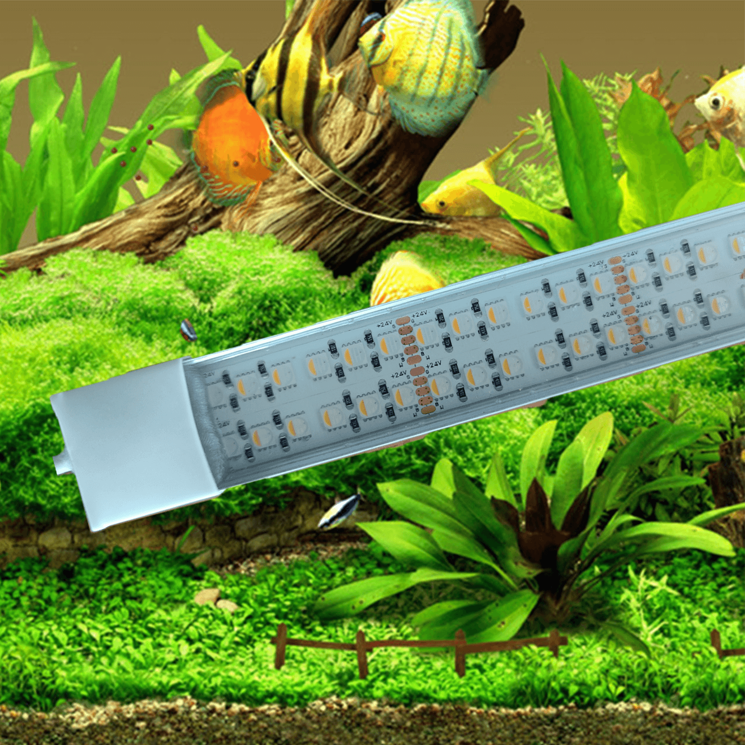 24 volt aquarium led verlichting Combi led balk warm wit/koud wit dubbele led strip waterdicht . 240 leds per meter +