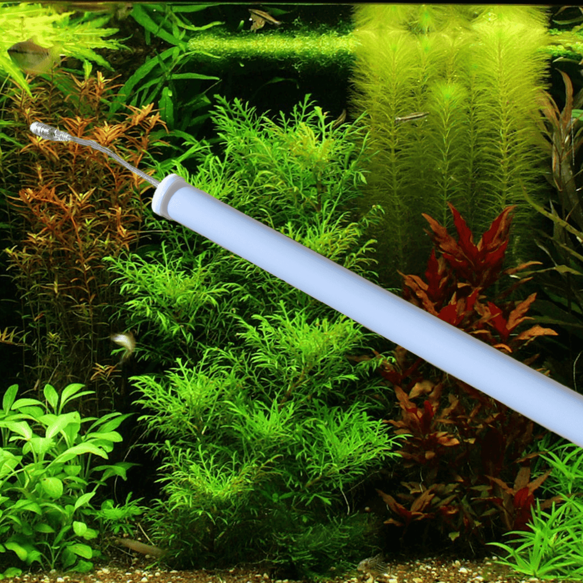 12 volt 2 meter led balk licht kleur 7000k koudwit. Vanaf - Plug & play aquarium led verlichting van Buyatjohn
