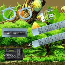 24 volt combi planten set RGBWW met combi led balk warm wit/ koud wit - Plug & play aquarium led verlichting van Buyatjohn