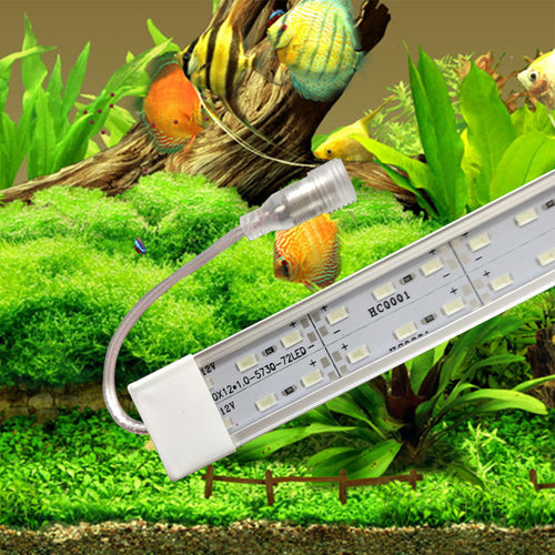 12 volt Cichlide aquarium LED verlichting  (dubbele ledstrip) alle lengtes. + 