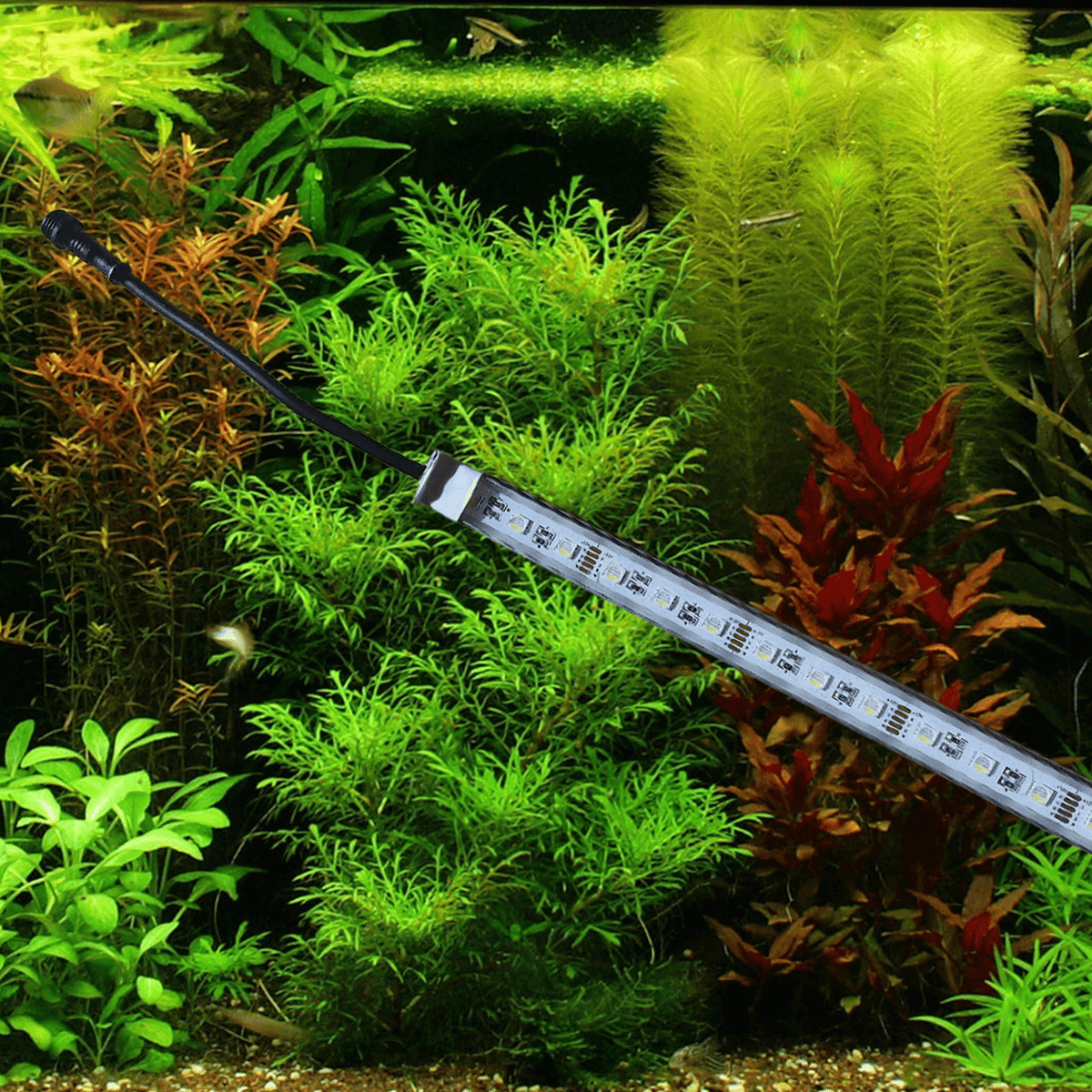 Aquarium led verlichting RGBW enkele led strip waterdicht + 