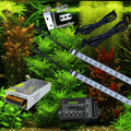 Planten RGBW set (diverse maten) (scroll naar beneden voor een volledige productbeschrijving) + 