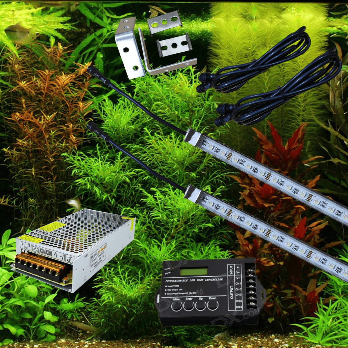 Planten RGBW set (diverse maten) (scroll naar beneden voor een volledige productbeschrijving) + 