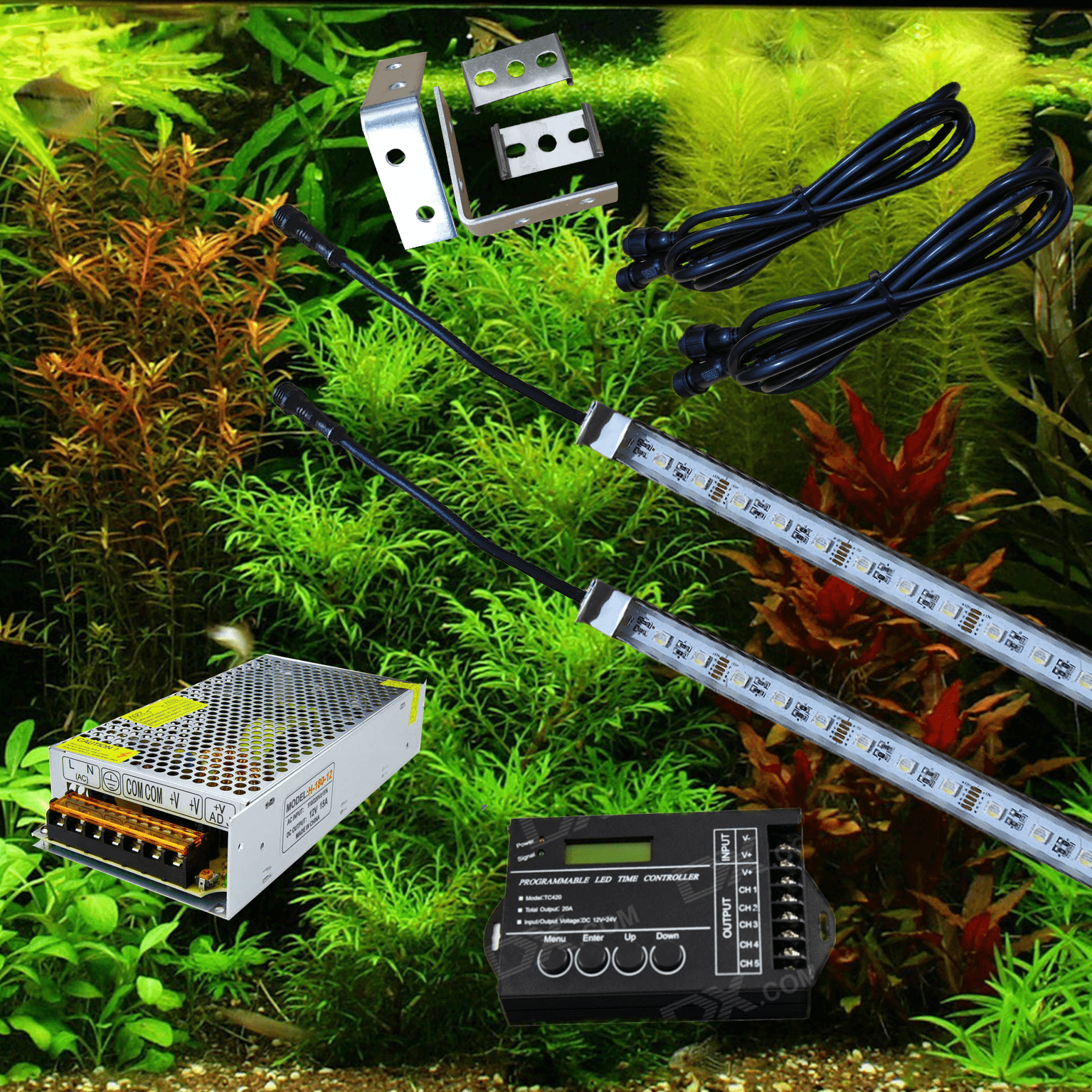 Planten RGBW set (diverse maten) (scroll naar beneden voor een volledige productbeschrijving) + 