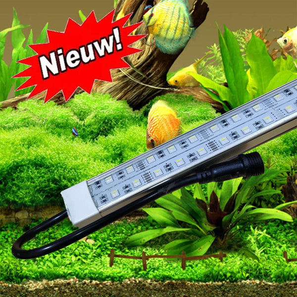 12 volt Aquarium led verlichting RGBWW  dubbele led strip waterdicht