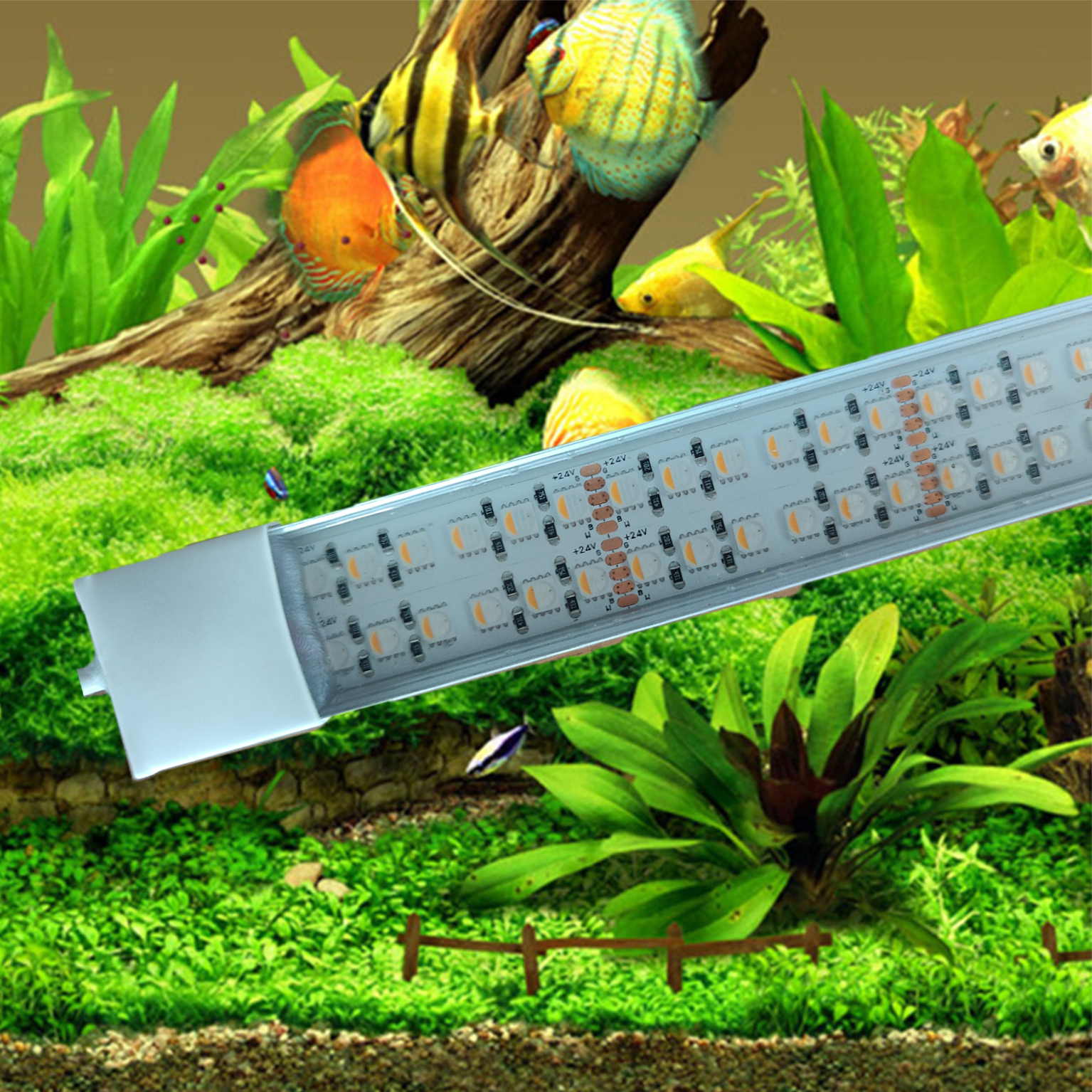 24 volt Aquarium led verlichting RGBWW dubbele led strip waterdicht . 240 leds per meter