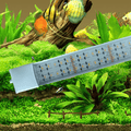 24 volt Cichlide aquarium led verlichting