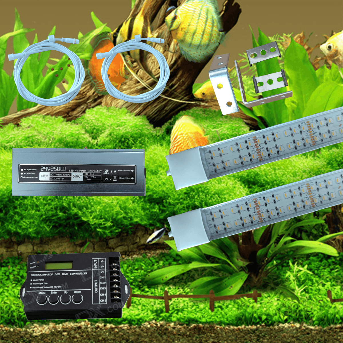 24 volt Cichlide set met combi led balken 6500K + 12000K + 