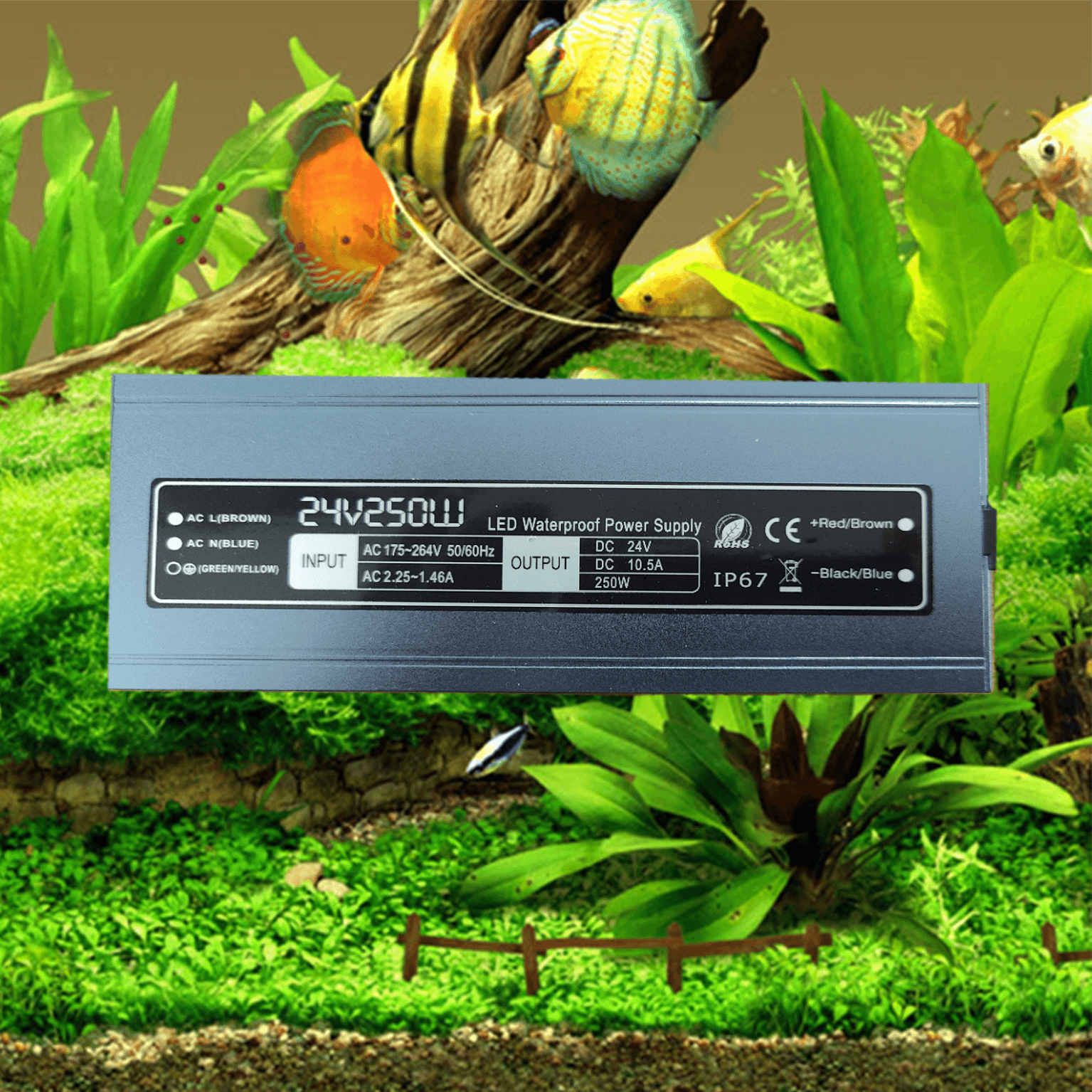Aquarium voedingsadapter 24 volt 10A max 250 watt + 